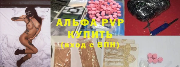гидра Богородицк