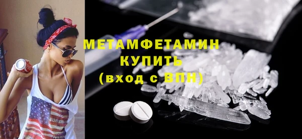 гидра Богородицк