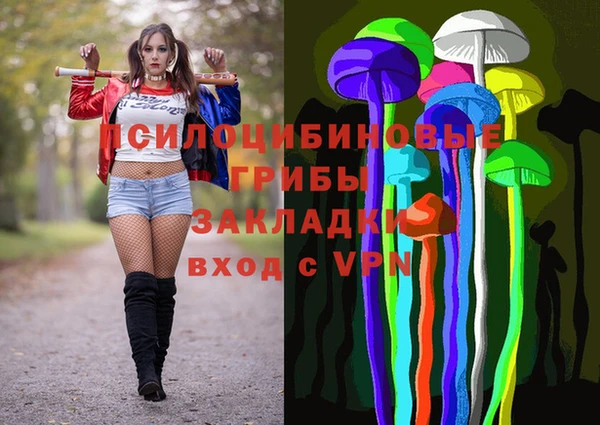 хмурый Богородск