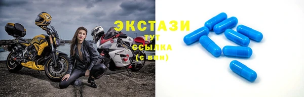 гидра Богородицк