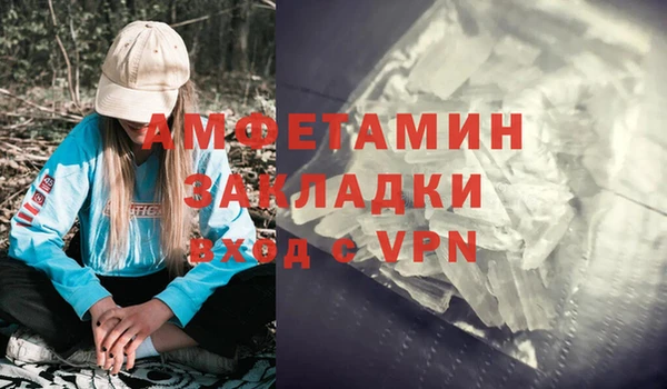 гидра Богородицк