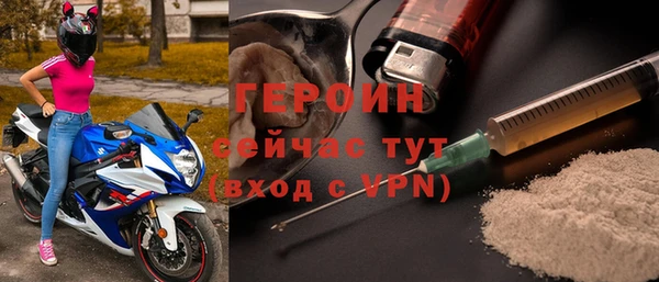 гидра Богородицк