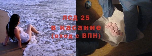 гидра Богородицк