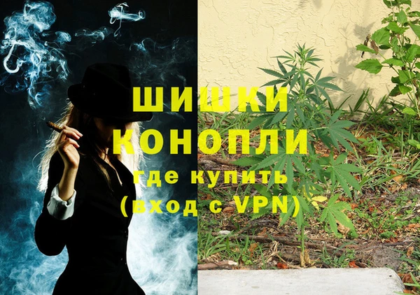 гидра Богородицк